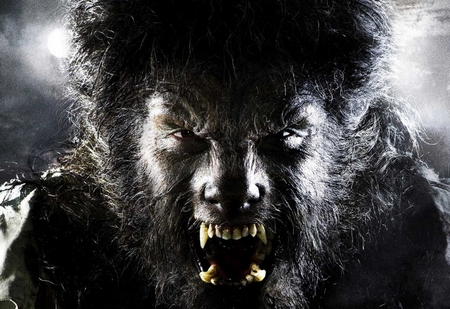 Wolfman Wolfman