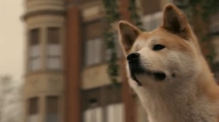 Hachiko Hachiko