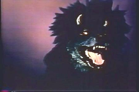 devil_dog devil_dog