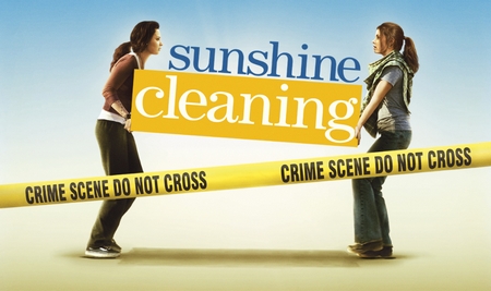 sunshine cleaning sunshine cleaning