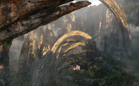 Pandora Pandora
