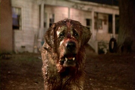 cujo2b cujo2b