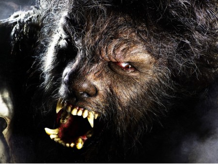 (301208171919)Wolfman (301208171919)Wolfman