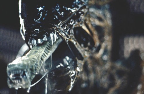 (040509150508)alien_11