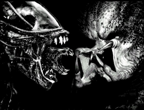 AlienVsPredator_1