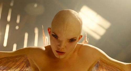 Splice_-_PC_-_Movie1-630x342