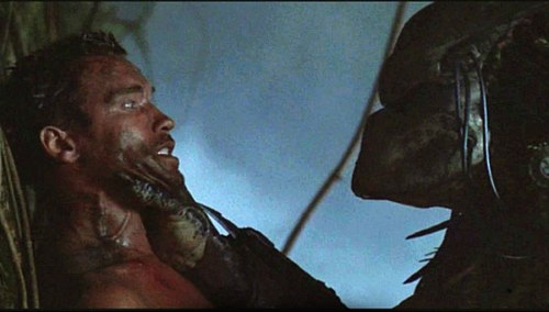 predator-schwarzenegger-film-cinema