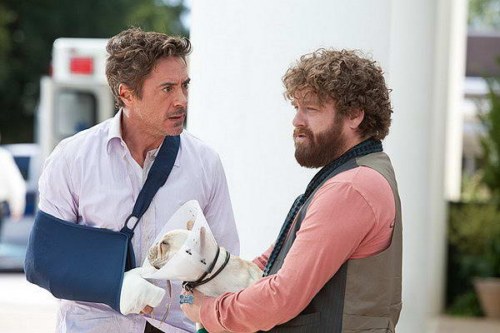 due date (3)
