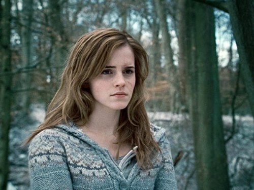 harry potter e i doni della morte (10)
