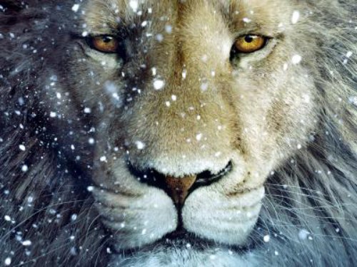 Narnia-3-The-Voyage-of-the-Dawn-Treader-2105