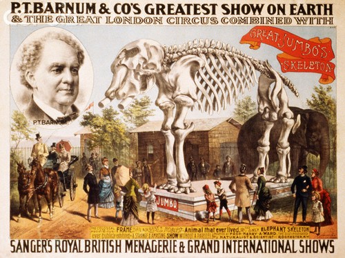 P. T. Barnum & Co. Circus Poster