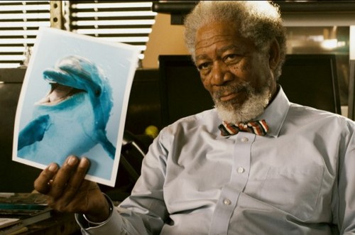 Dolphin Tale, immagini (6)