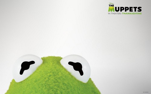 I Muppet, 14 wallpaper (12)