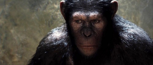 L'alba del pianeta delle scimmie il finale alternativo