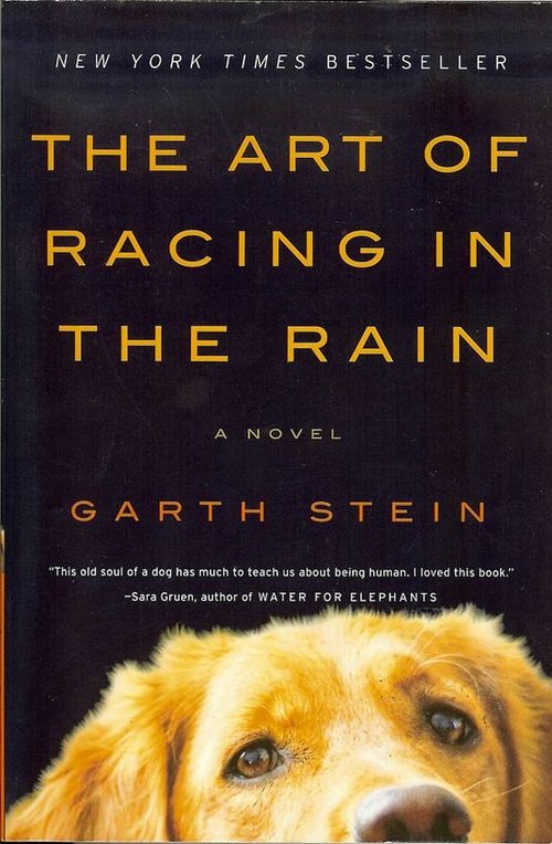 Patrick Dempsey in The Art of Racing in the Rain (2)