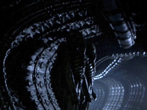 Prometheus, nuova immagine con Noomi Rapace (3)
