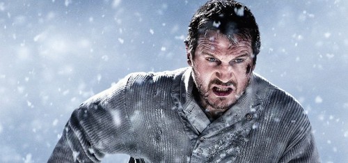 The Grey, poster internazionale con Liam Neeson