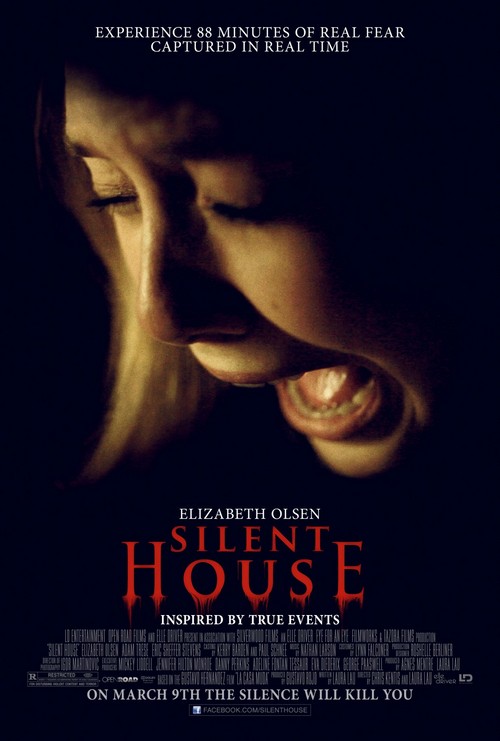 Silent House, Intruders, House of the End of the Street, Brake poster (5)