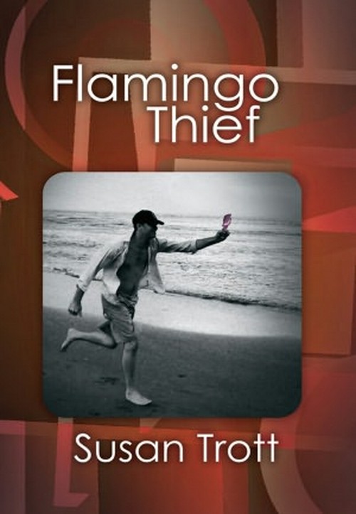Will Ferrell protagonista in Flamingo Thief (2)