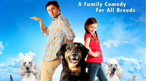 I Heart Shakey, trailer e poster della commedia con Steve Guttenberg (2)