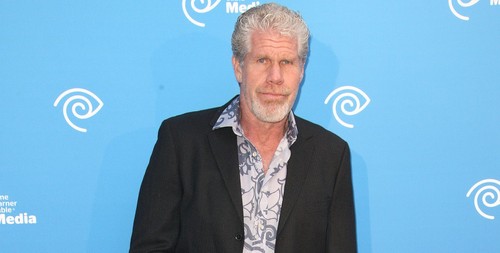 Brie Larson in Don Jon’s Addiction, Kevin Durand e Robert Maillet in The Mortal Instruments, Ron Perlman in Tblisi My City, Andrea Riseborough in August Osage County (4)