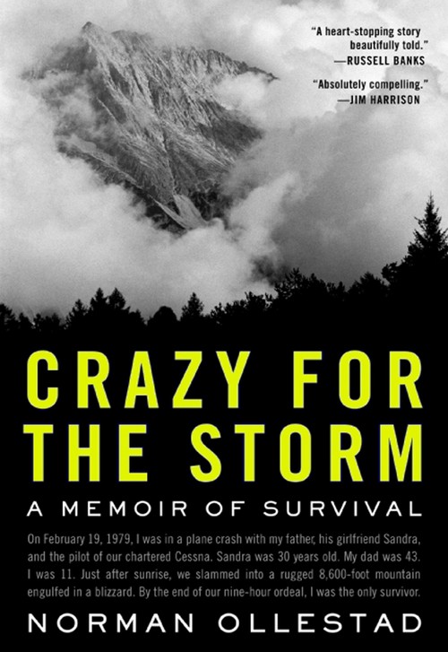 Sean Penn in trattative per dirigere Crazy for the Storm, Nic Pizzolatto scriverà il remake de I magnifici sette