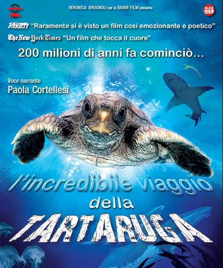 L’incredibile viaggio della tartaruga, trailer italiano