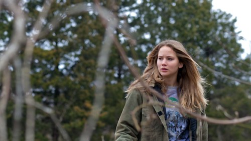 Torino Film Festival 2010, Winter’s Bone entusiasma la rassegna piemontese