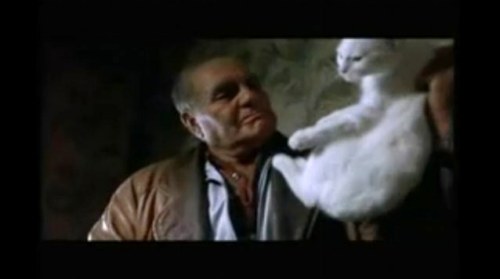 Non dire gatto, cortometraggio di Giorgio Tirabassi