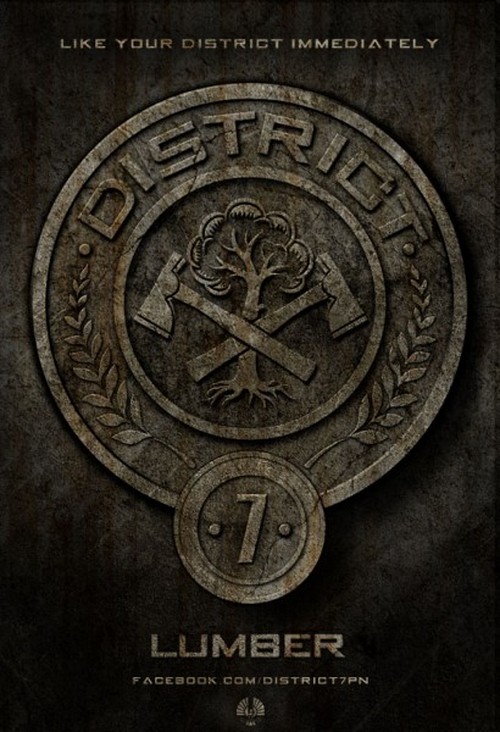 The Hunger Games, 5 poster