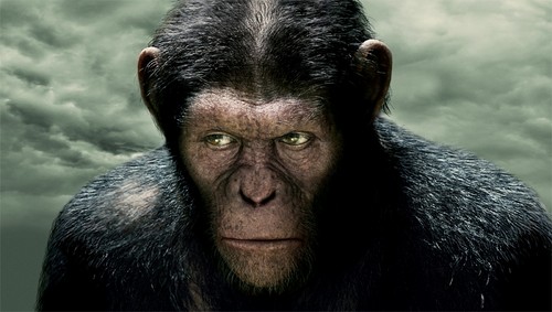 L’alba del pianeta delle scimmie, per il sequel confermati Andy Serkis e Rupert Wyatt