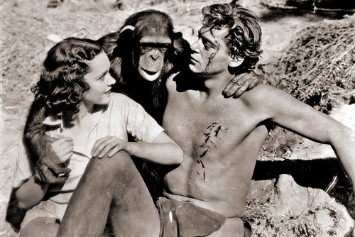 E’ morta Cita, lo scimpanzè dei film di Tarzan