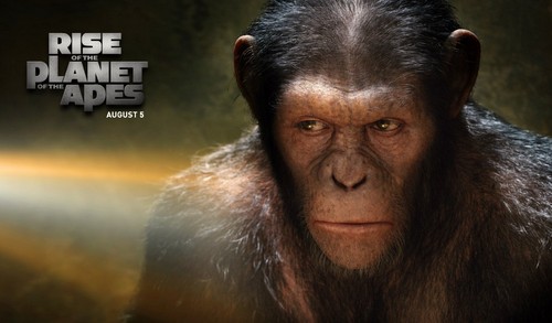 Oscar 2012, Migliori effetti speciali: chi vincerà?